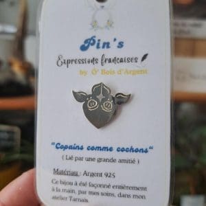 Pin's "Copains comme cochons