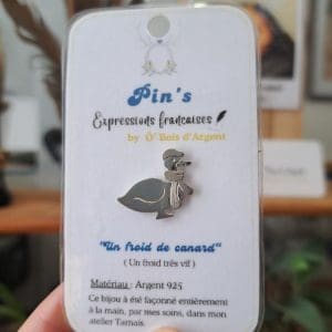 Pin's "Un froid de canard