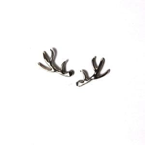 Pucettes - Bois de Cerf (Cervus elaphus)