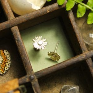 Aster - Pucettes fleur en argent