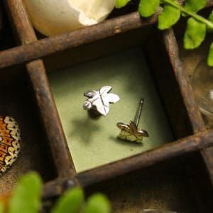 Lierre - Pucettes feuille en argent