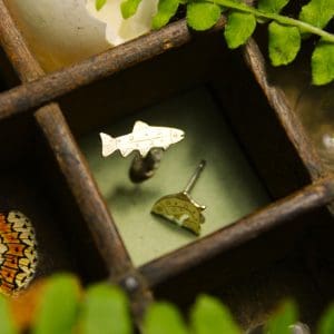 Truite - Pucettes poisson en argent